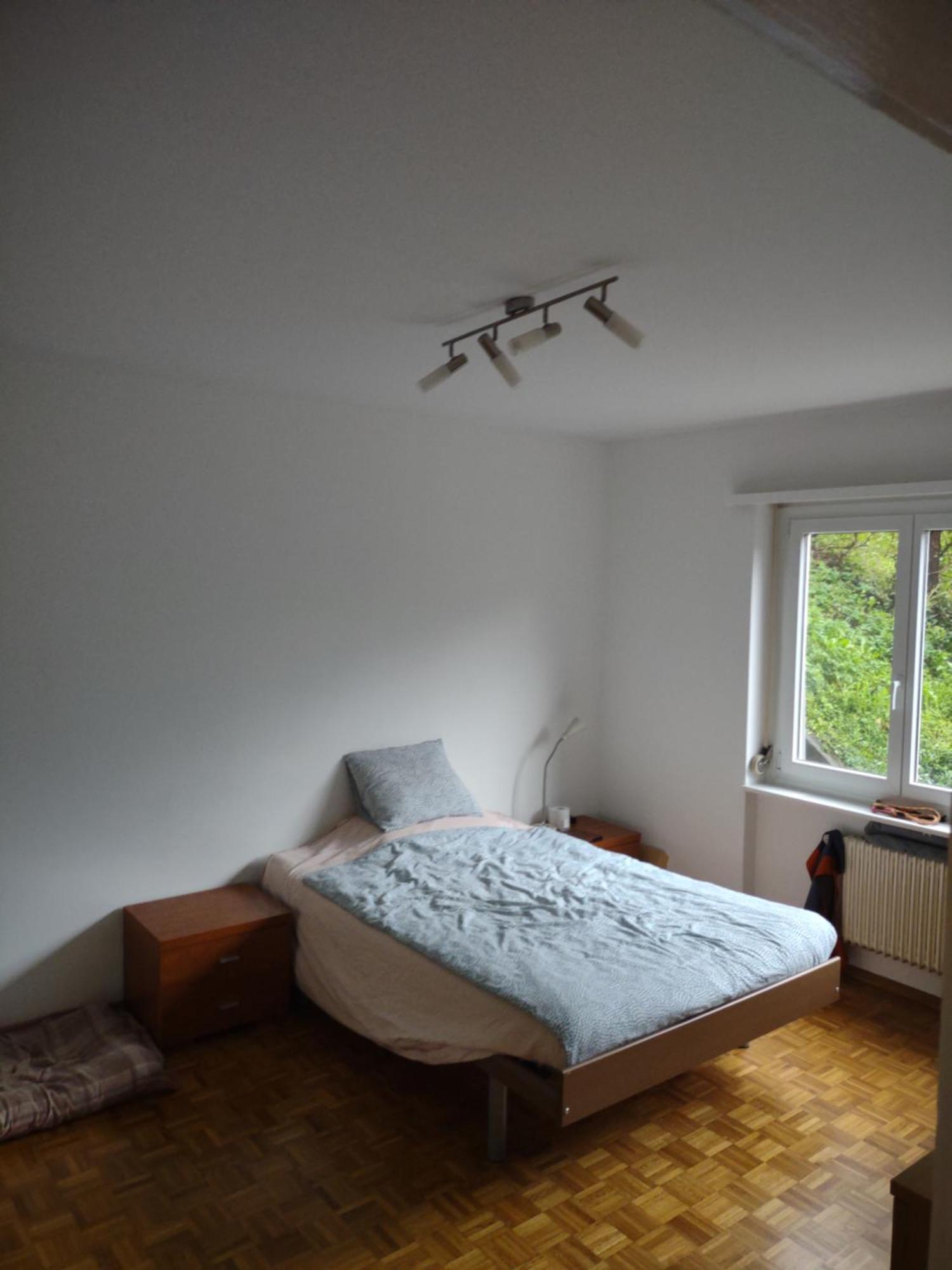 Appartamento Bellavista Lugano Massagno Екстериор снимка